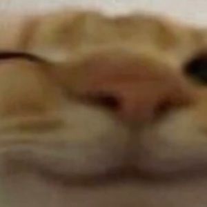 Meet your Posher, Ekaterina